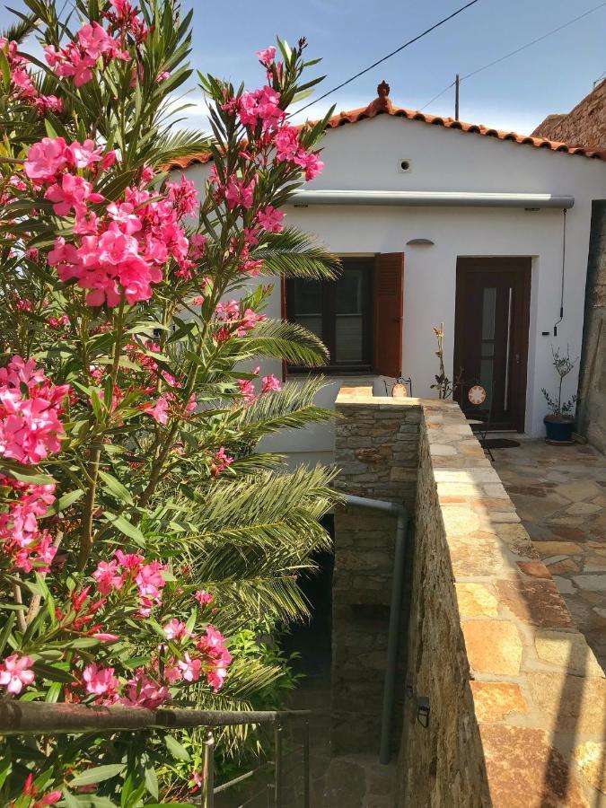 Astra-Ferienhaus Mit Grosser Dachterrasse Und Top-Ausstattung In Nas Armenistis  Bagian luar foto